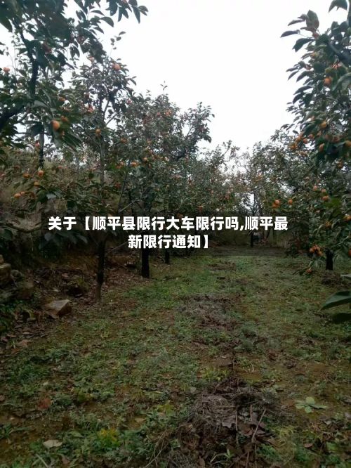 关于【顺平县限行大车限行吗,顺平最新限行通知】-第1张图片