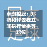 卓珈控股:郑毓和辞去独立非执行董事等职位-第1张图片