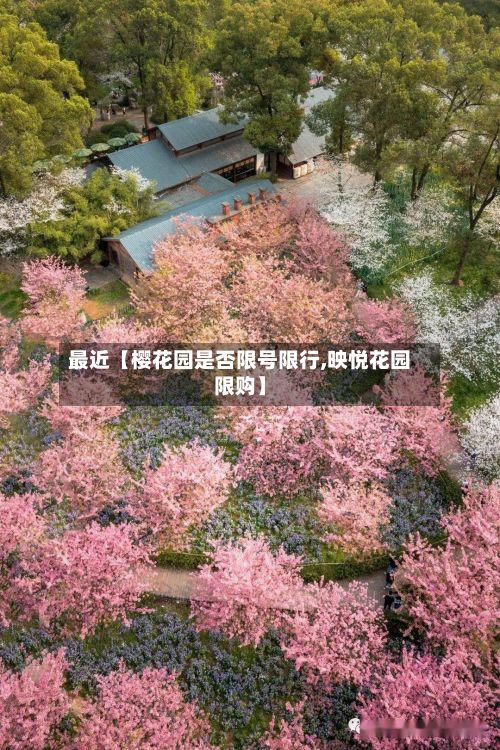 最近【樱花园是否限号限行,映悦花园限购】-第1张图片