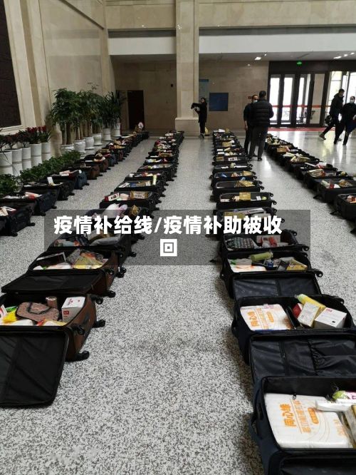 疫情补给线/疫情补助被收回-第1张图片