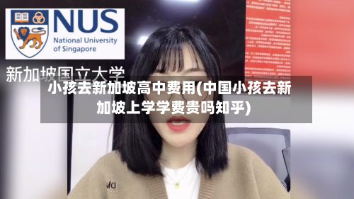 小孩去新加坡高中费用(中国小孩去新加坡上学学费贵吗知乎)-第1张图片