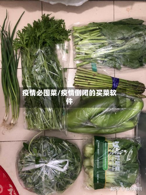 疫情必囤菜/疫情倒闭的买菜软件-第1张图片