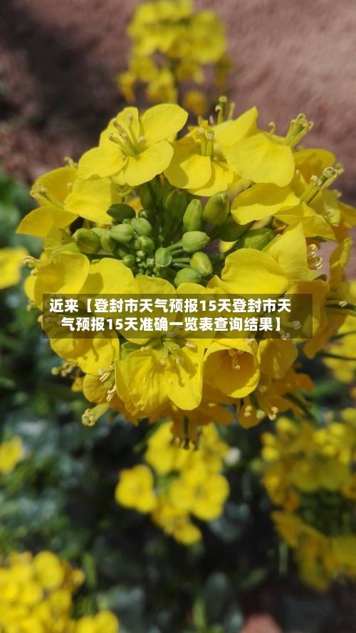 近来【登封市天气预报15天登封市天气预报15天准确一览表查询结果】-第1张图片