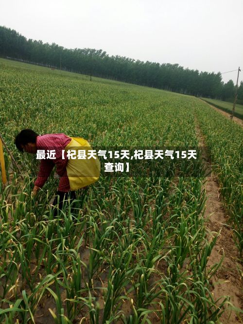 最近【杞县天气15天,杞县天气15天查询】-第1张图片