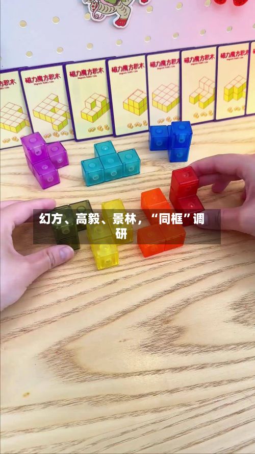 幻方	、高毅、景林	，“同框”调研-第1张图片