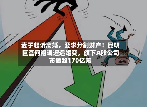 妻子起诉离婚，要求分割财产！昆明巨富何祖训遭遇婚变	，旗下A股公司市值超170亿元-第1张图片