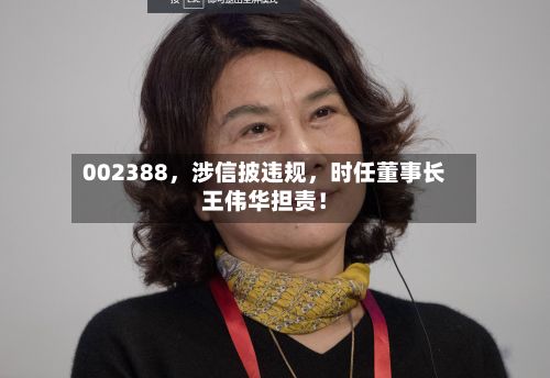 002388，涉信披违规	，时任董事长王伟华担责！-第1张图片