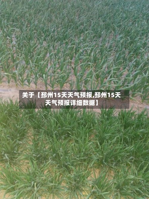 关于【邳州15天天气预报,邳州15天天气预报详细数据】-第1张图片