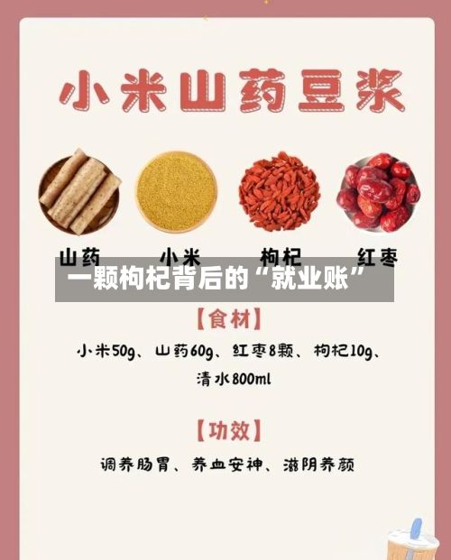 一颗枸杞背后的“就业账	”-第1张图片