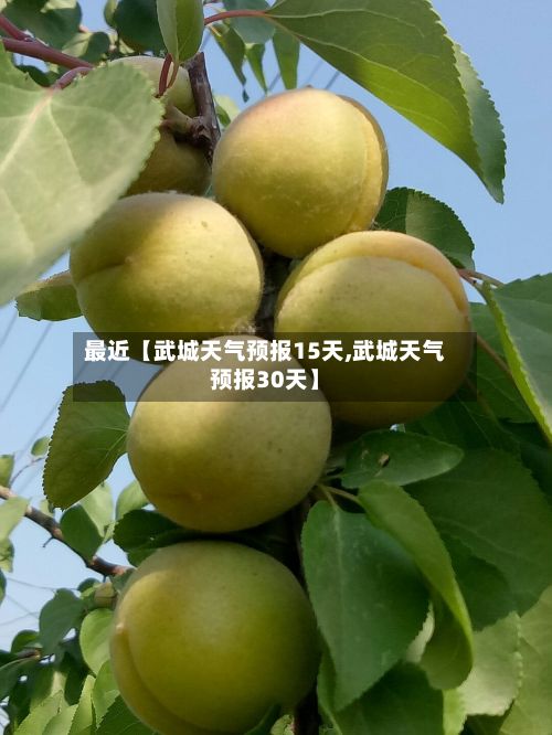 最近【武城天气预报15天,武城天气预报30天】-第1张图片