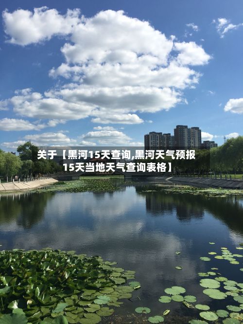 关于【黑河15天查询,黑河天气预报15天当地天气查询表格】-第1张图片