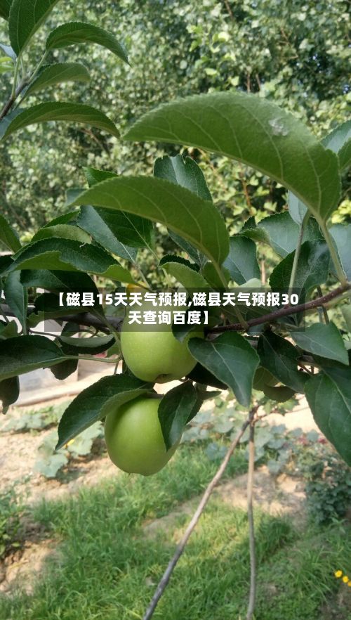 【磁县15天天气预报,磁县天气预报30天查询百度】-第1张图片