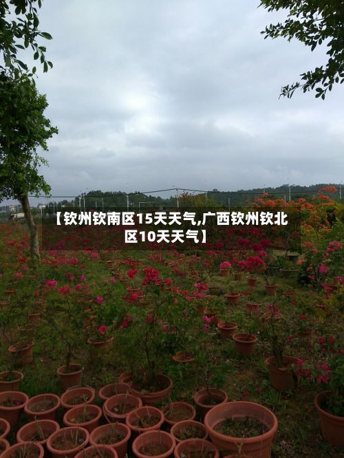 【钦州钦南区15天天气,广西钦州钦北区10天天气】-第1张图片