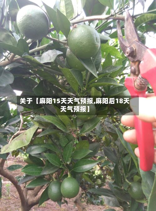 关于【麻阳15天天气预报,麻阳后18天天气预报】-第1张图片