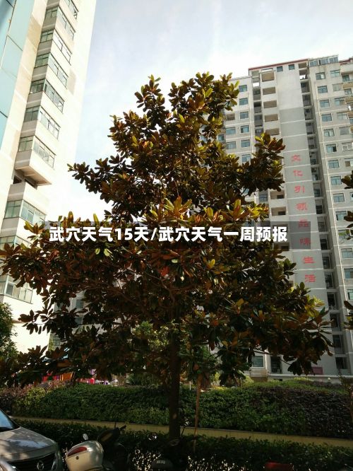 武穴天气15天/武穴天气一周预报-第1张图片