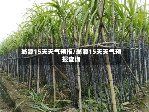 翁源15天天气预报/翁源15天天气预报查询-第1张图片